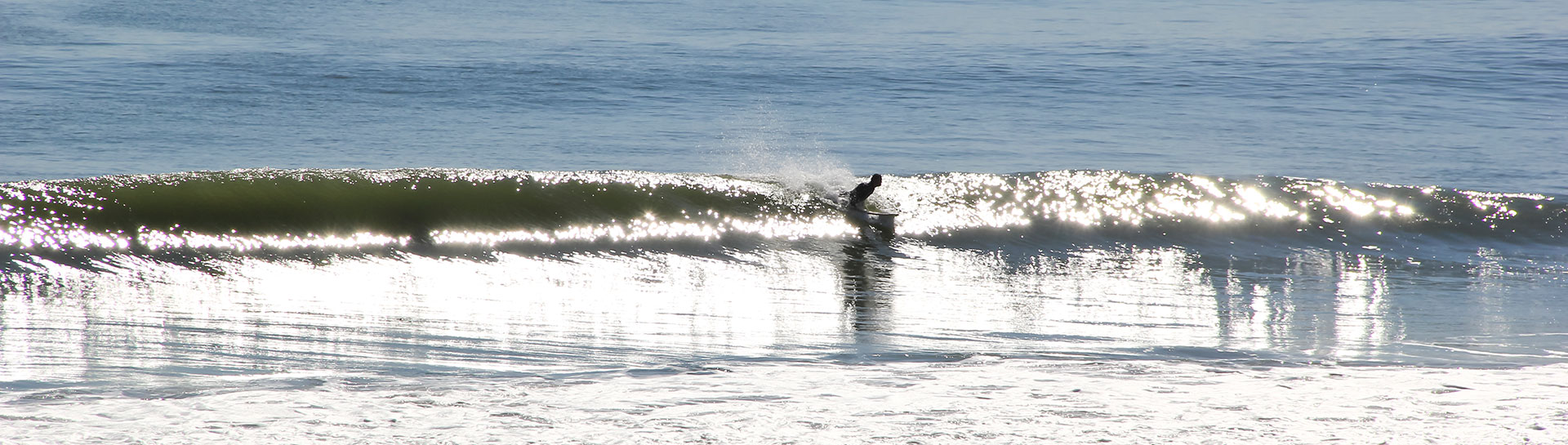 Surfer Riding a wave in Ocean city maryland